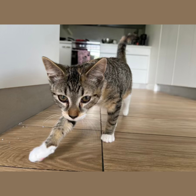 Photo of Molly