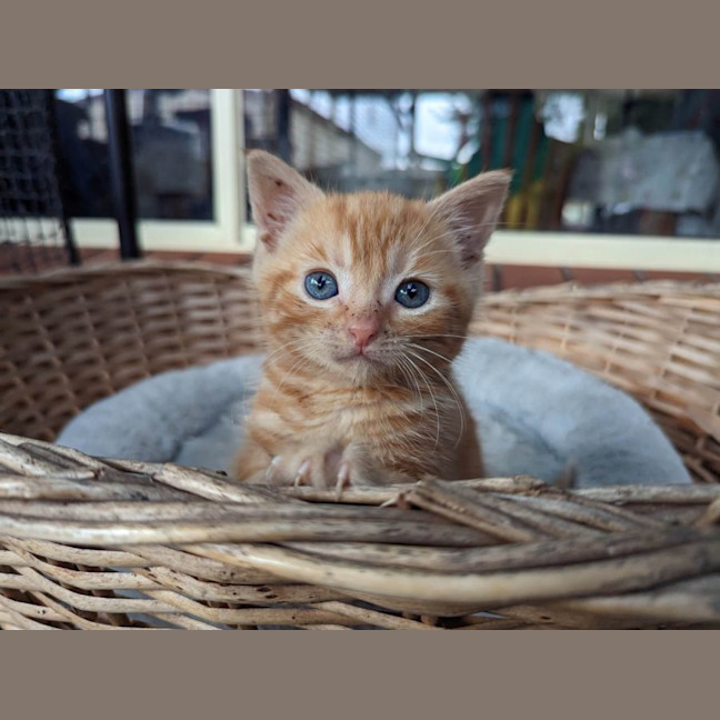 Photo of Eddie
