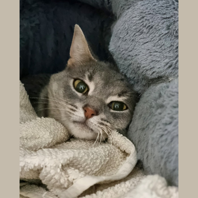 Photo of Tia