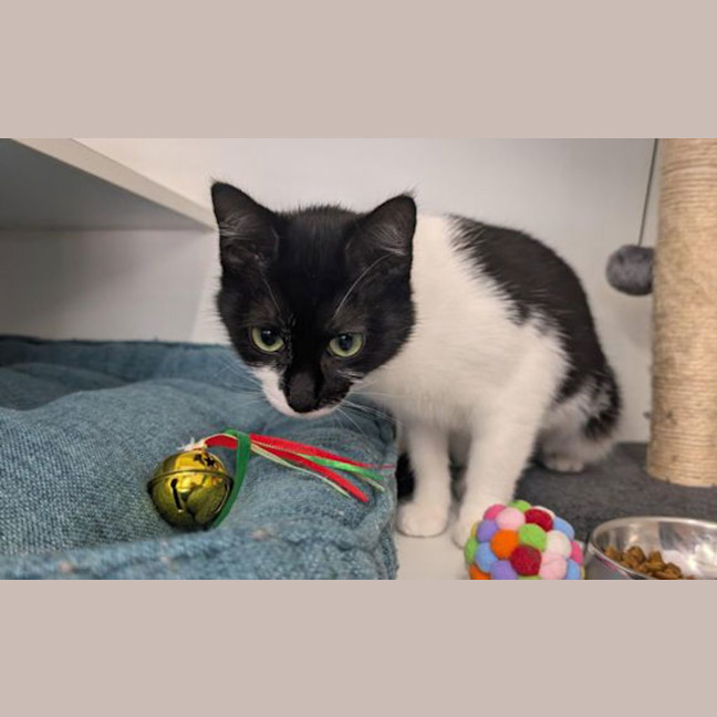 Photo of Sprout