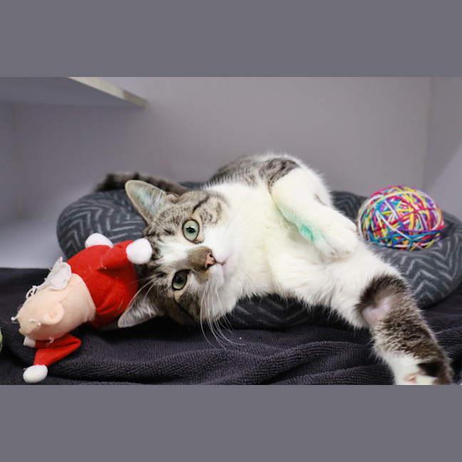 Photo of Snotty