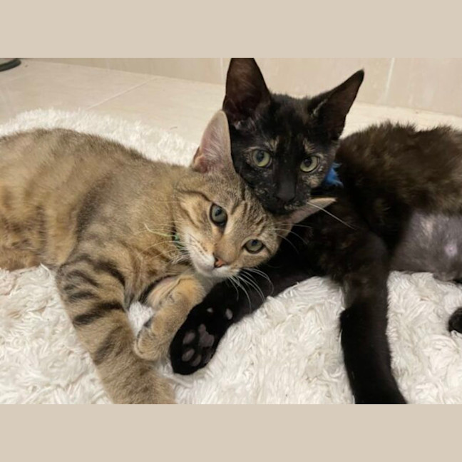 Photo of Malak And Ishmael