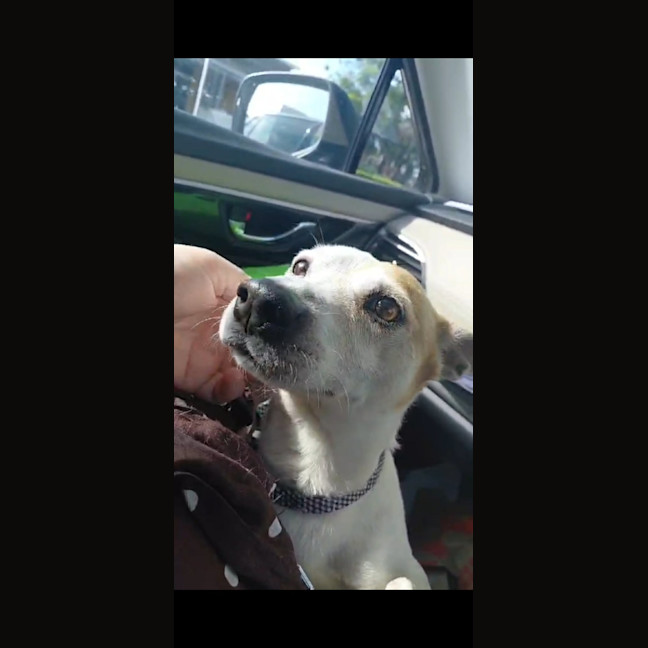 Photo of Kenai Aka Kenny