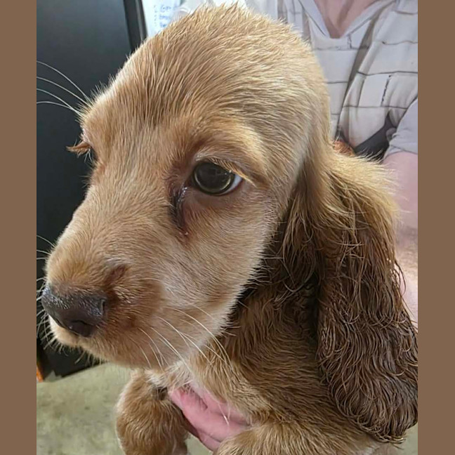 Photo of Prada