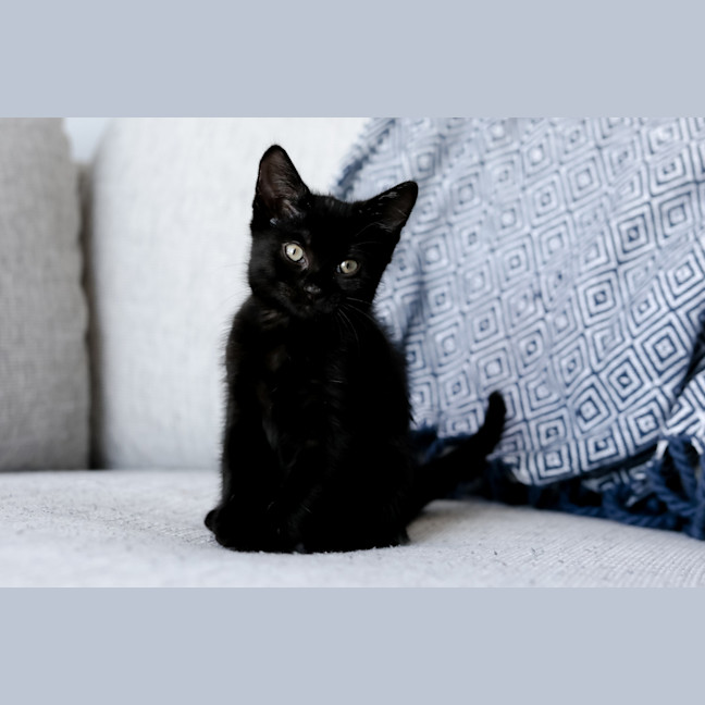 Photo of Wednesday