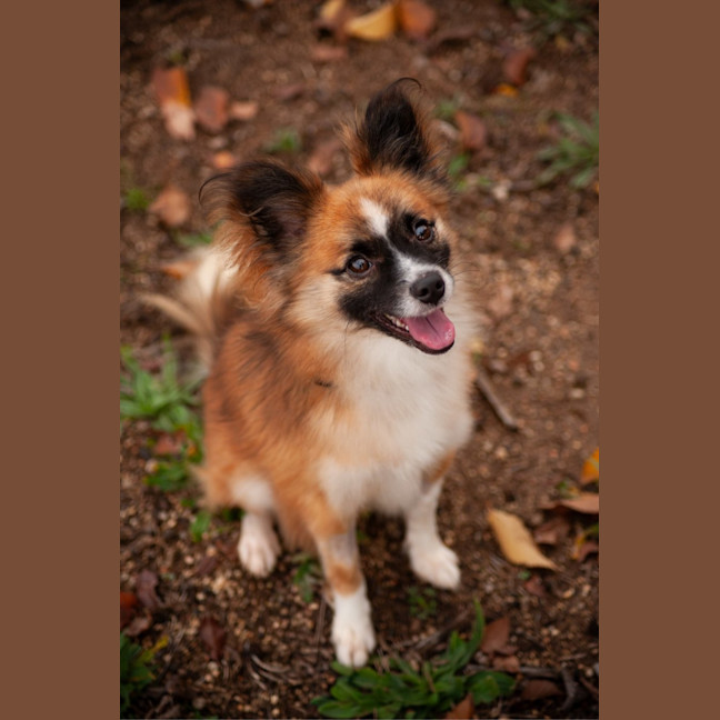 Photo of Arlo