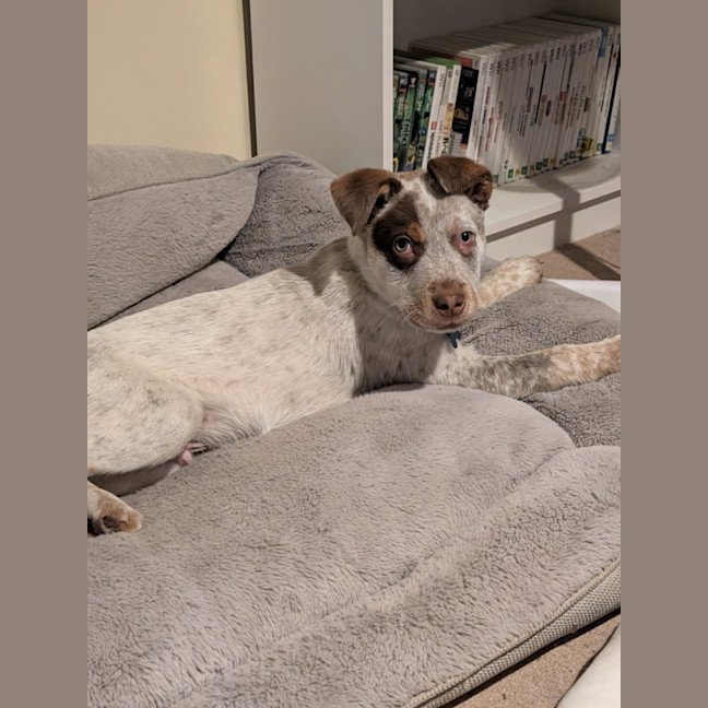 Photo of Billy