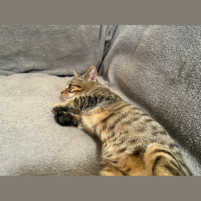 Photo of Fred (Weasley) Of Harry Potter Fame