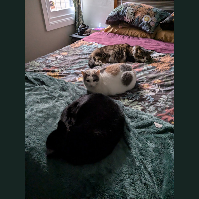 Photo of Princess Peach