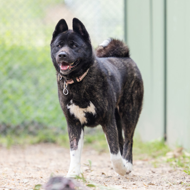 Photo of Kita