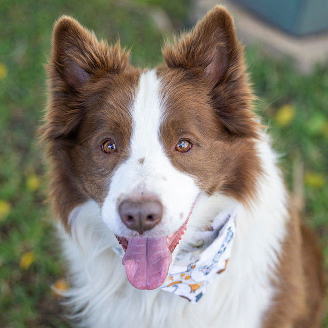 Photo of Oscar Pawastri