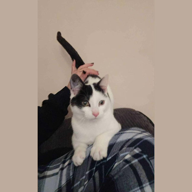 Photo of Cleo
