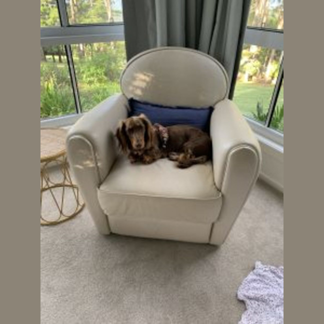 Photo of Rocco