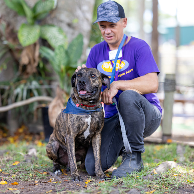 Photo of Jaxx