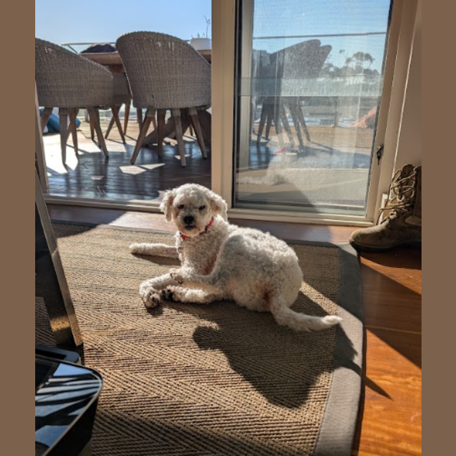Photo of Leo