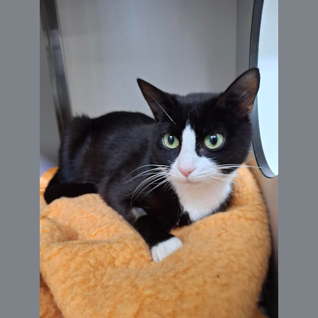 Photo of Peppermint Patty