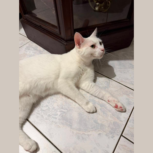 Photo of Angel