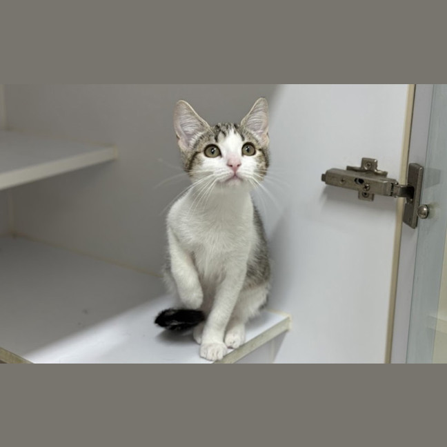 Photo of Dottie