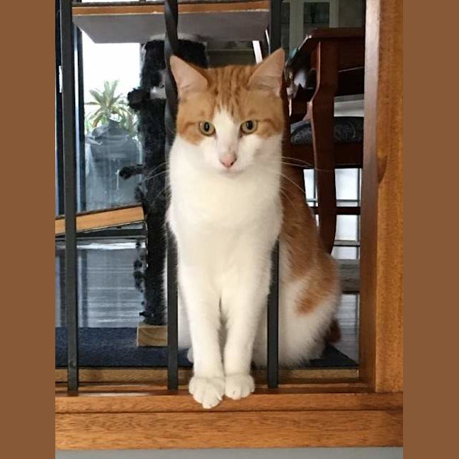 Photo of Valentino