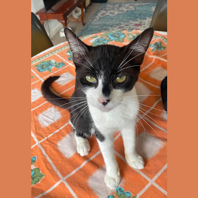 Photo of Betty
