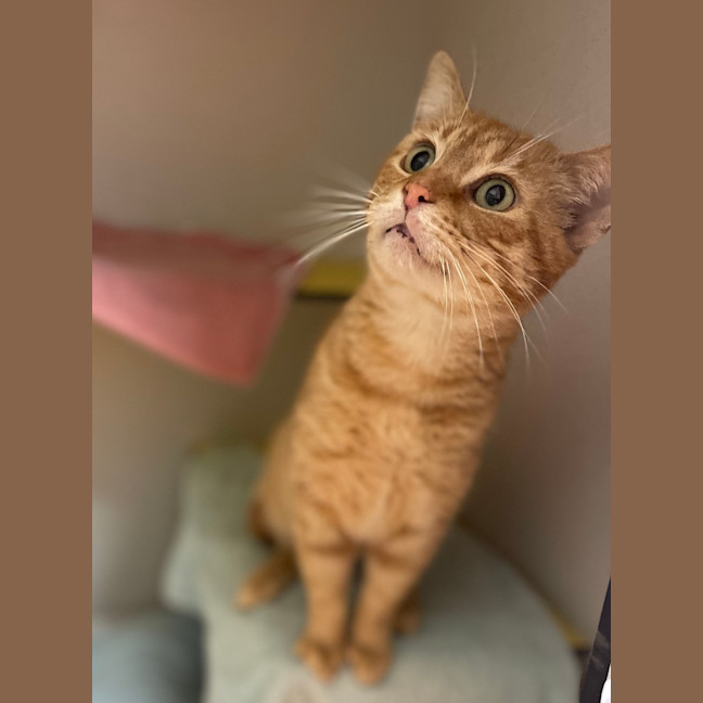Photo of Bmo