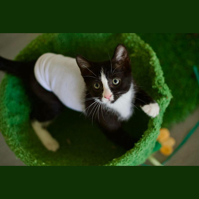 Photo of 🤩 Charlie Girl 🤩