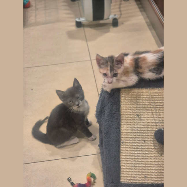 Photo of Hazel And Cloud