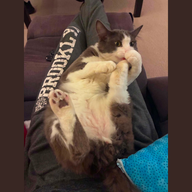 Photo of Murphy
