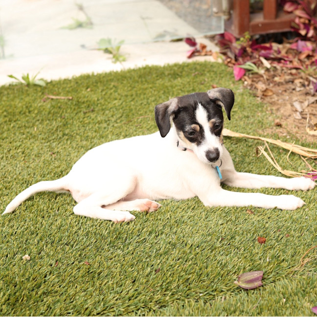 Photo of Jive
