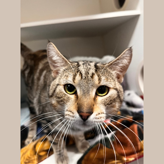Photo of Milo