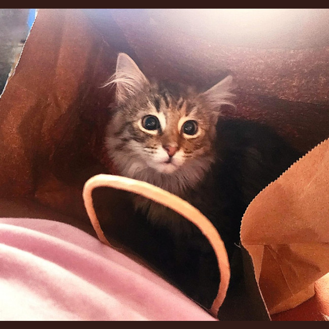 Photo of Salsa   Located In Melbourne