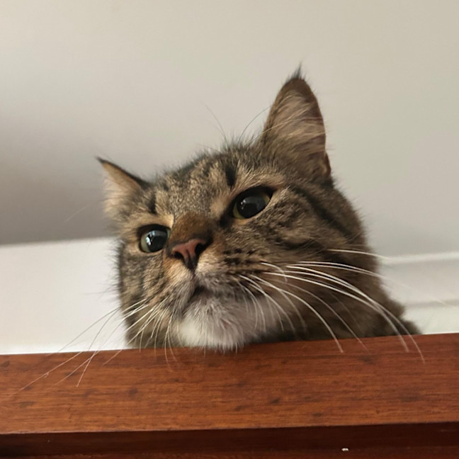 Photo of Tom