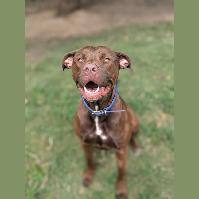 Photo of Lulu