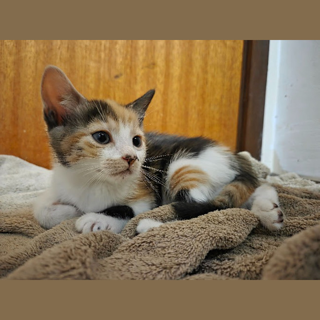 Photo of Sophie