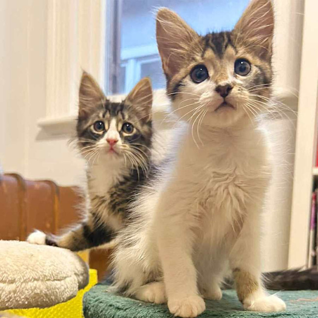 Photo of Maya And Lotti