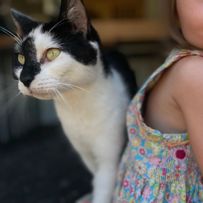 Photo of Lisa & Archie