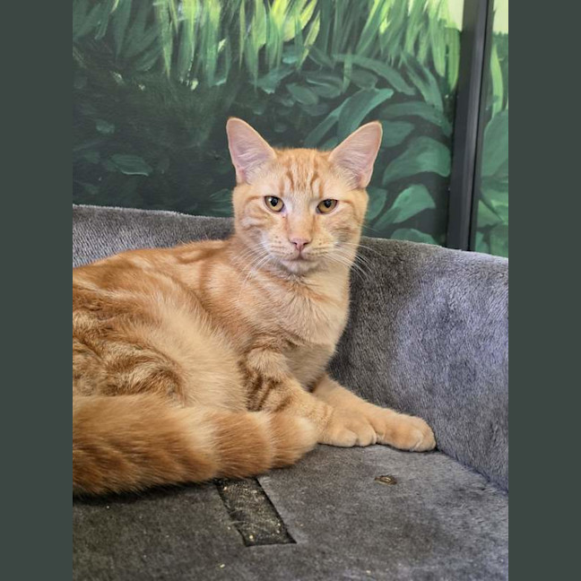 Photo of Maverick