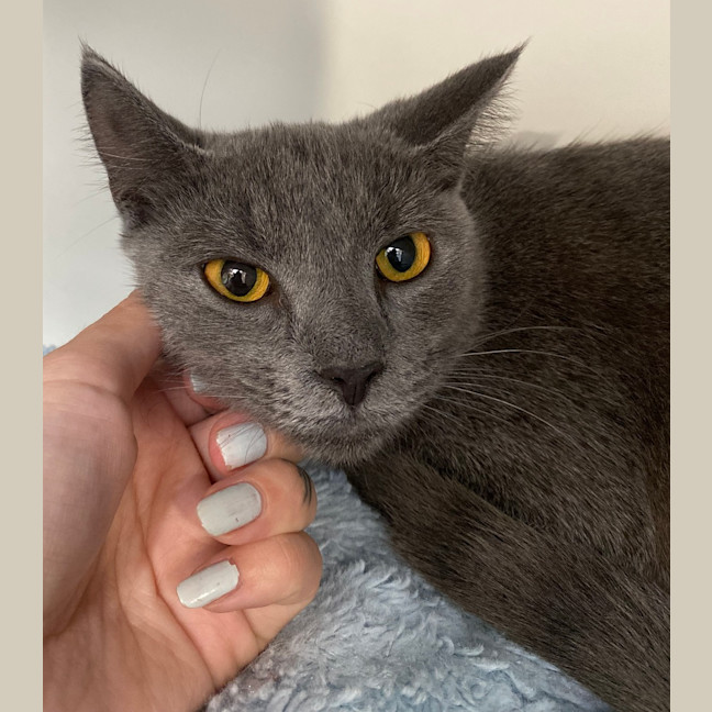 Photo of Polly