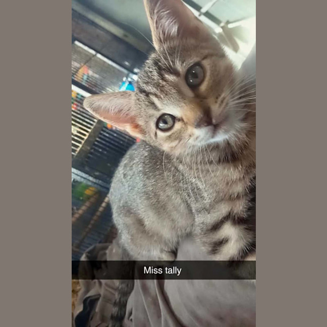 Photo of Tally