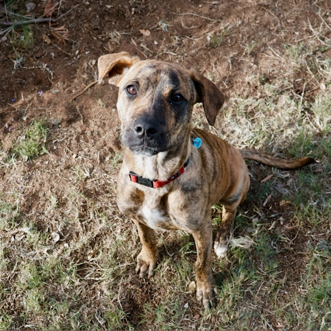 Photo of Reggie