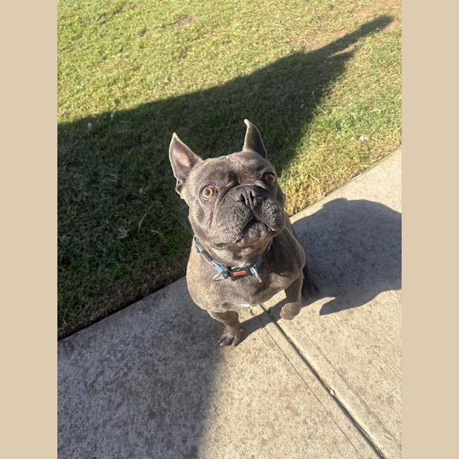 Photo of Manny
