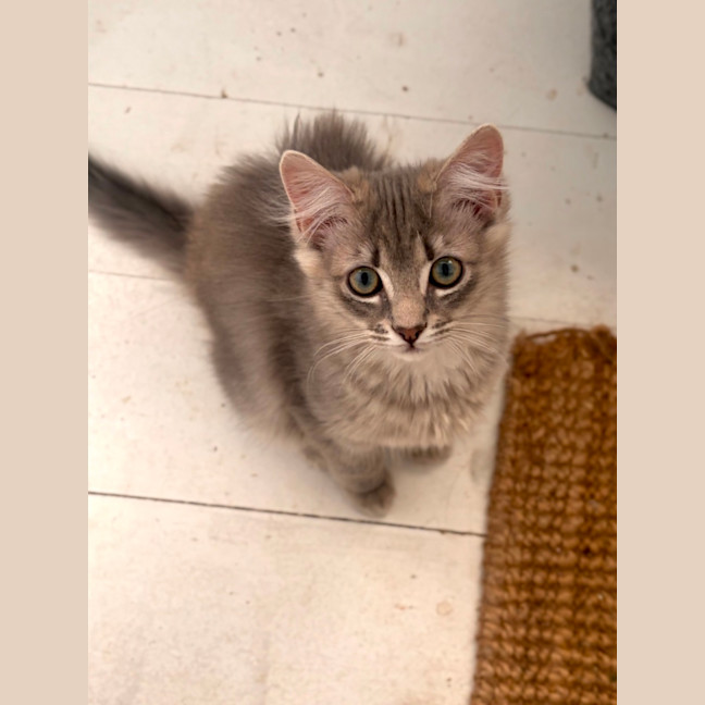 Photo of Boo