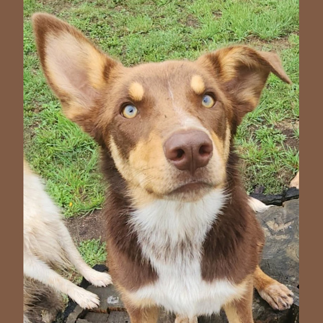 Photo of Sammy