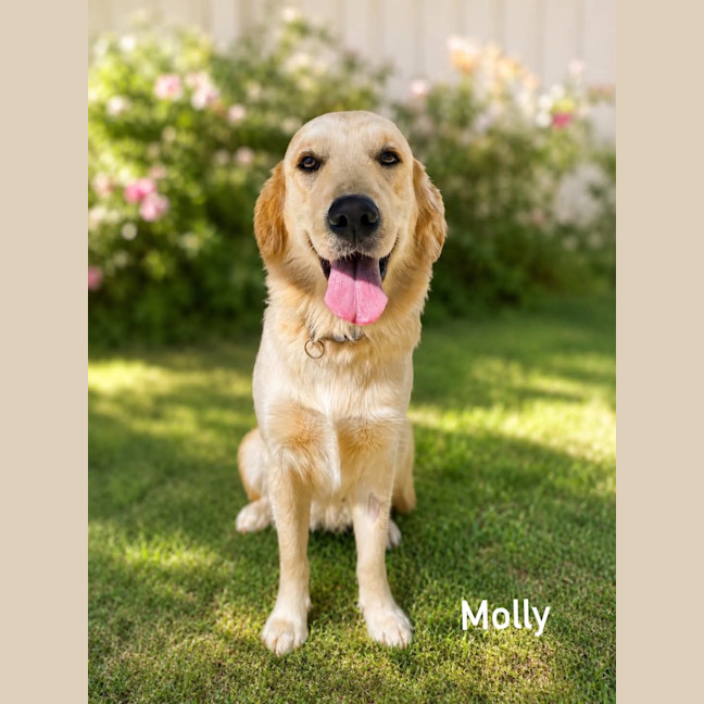 Photo of Molly