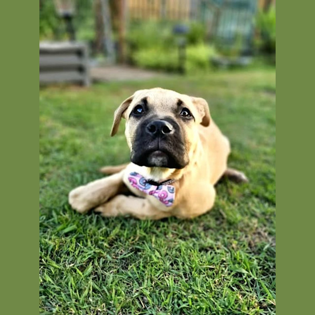 Photo of Coco