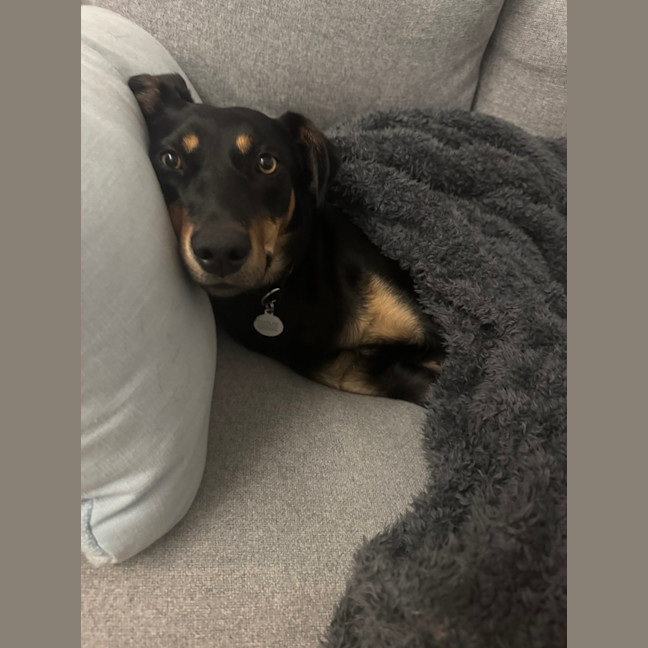 Photo of Ruby