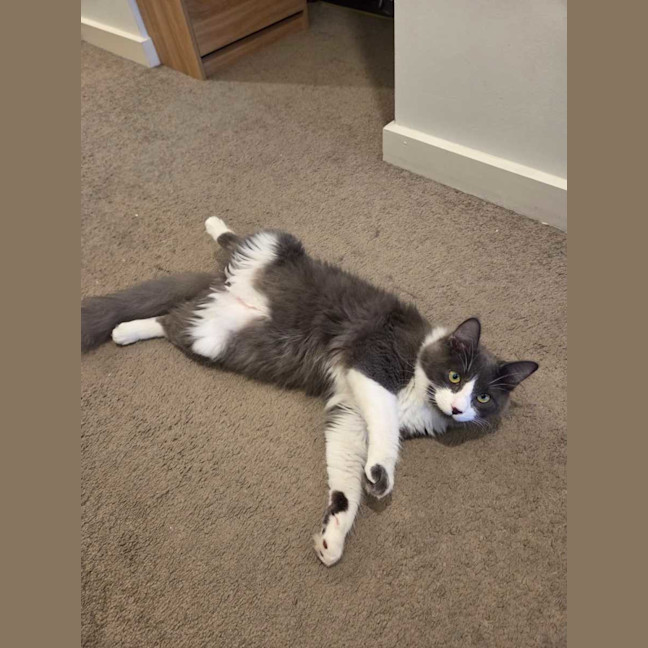 Photo of Yuki