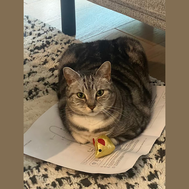 Photo of Sadie