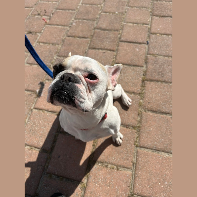 Photo of Bonnie