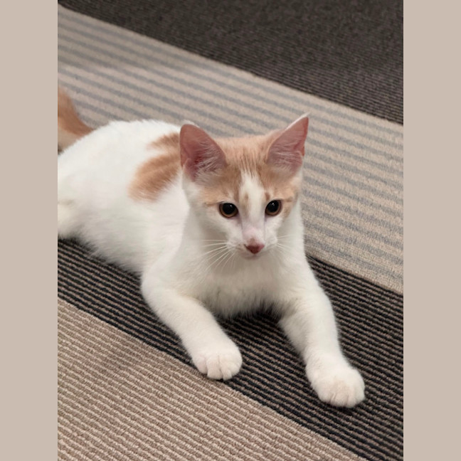 Photo of Evan & Evie